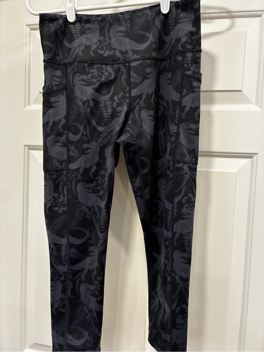 Black Dinosaur-Print Leggings